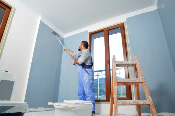 Best Black Mold Removal  in Germantown, OH