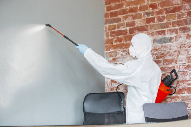 Dehumidification Services in Germantown, OH