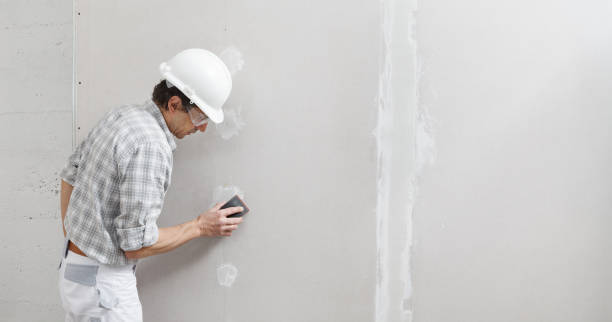 Forensic Mold Investigation in Germantown, OH