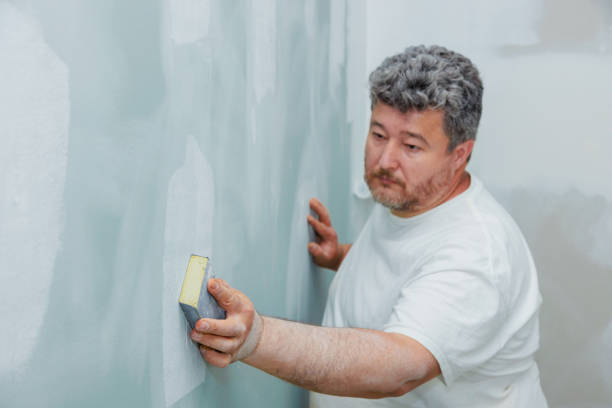 Best Environmental Consulting for Mold Prevention  in Germantown, OH